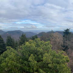 24-02-26 13-36-18 8705